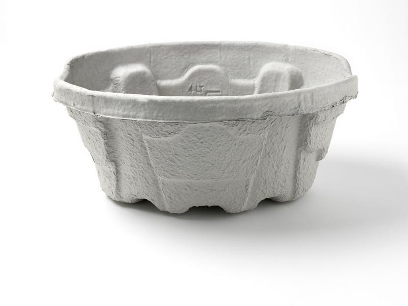 Pulp Maxi Wash Bowls (x 40)