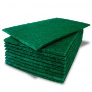 Scourers - Heavy Duty Green x10