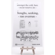 Eye Test Charts (3m or Near Vision)