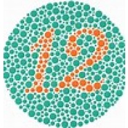 Eye tests - Ishihara colour plates - set of 24 plates