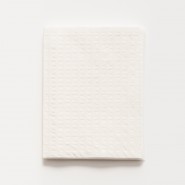Sterile Towels - Medium (45 x 45cm) x50