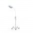 Welch Allyn GS 600 light on mobile stand