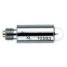 Riester 10593 XL 3.5v Xenon